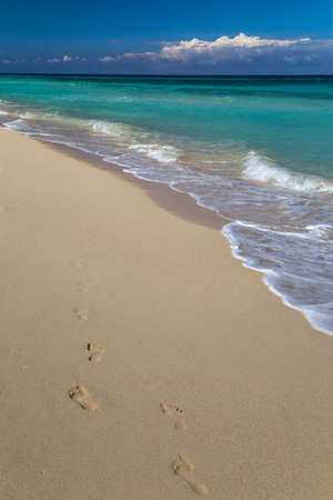 Footprints on a tropical white sand beachの写真素材