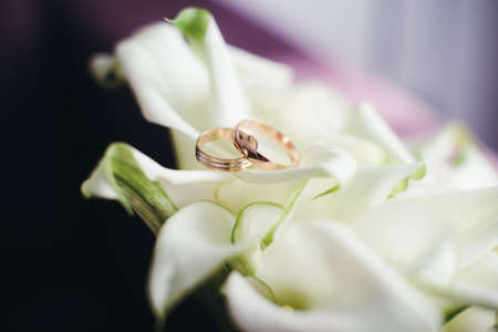 the bride's bouquetの写真素材