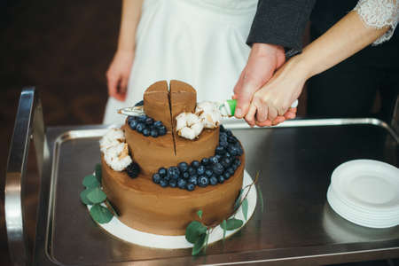 Homemade chocolate frosted cake decorated with fresh fruitの写真素材