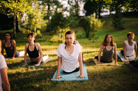 Group of young women are stretching in Upward Facing Dog Pose exercise, Urdhva Mukha Svanasana pose. Group of people are practicing yoga lesson in city park at sunny dawn under guidance of instructor.の写真素材