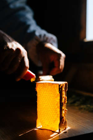 Close-up of hands of unrecognizable apiarist cutting honeycomb using knife while standing in dark...