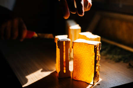 Close-up of hands of unrecognizable apiarist cutting honeycomb using knife while standing in dark bee house. Concept of bee agriculture.の写真素材