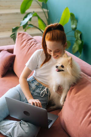 Vertical shot of laughing redhead young woman using laptop sitting on comfortable sofa cuddling cute small white Spitz pet dog at apartment. Happy redhead female student studying online from home.の写真素材