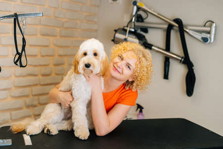 Portrait of smiling female groomer embracing adorable curly Labradoodle dog after haircutting at grooming salon. Attractive woman pet hairdresser doing professional care in veterinary spa clinic.の写真素材