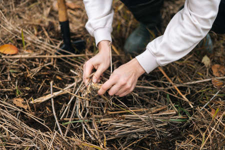 Close-up cropped shot of unrecognizable backpacker man putting brushwood on campfire to making fire...
