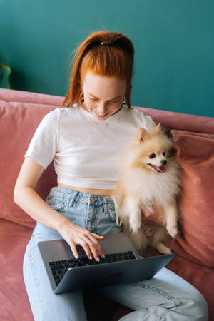 Vertical shot of happy young woman typing on laptop computer sitting on comfortable sofa cuddling cute small white Spitz pet dog. Happy redhead female student studying online at home.の写真素材