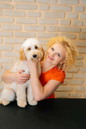 Vertical portrait of smiling female groomer holding curly Labradoodle dog after haircutting at...