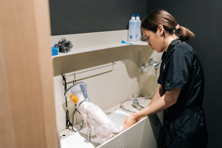 Back view of professional female groomer washing with shampoo adorable afraid domestic cat wearing protective veterinary collar after hairdo. Master pet giving professional service in beauty clinic.の写真素材