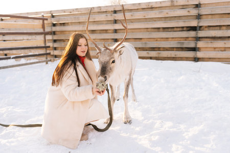 Portrait of attractive young woman in fur coat stroking and feeding cute young reindeer on snowy deer farm on sunny winter day. Concept of ecotourism at wintertime.の写真素材