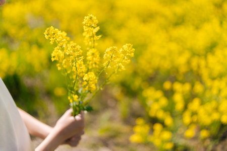Close-up hands of unrecognizable child girl holding vibrant bouquet of yellow wildflowers enjoying beauty of sunny meadow, embracing joys of nature on bright summer day filled with happiness.の写真素材