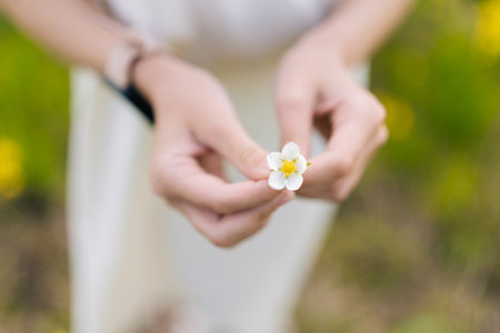Close-up hands of child girl wearing white dress holding white and yellow wildflower in hands standing in sunny summer meadow filled with vibrant greenery and blooming flora, selective focus soft shotの写真素材