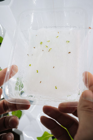 Close-up hands of urban farmer holding seedling tray within hydroponic vertical farm, green sprouts...
