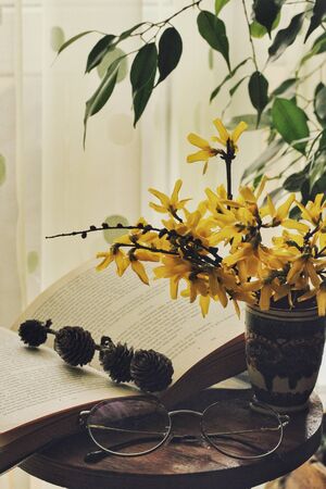 Dark mystic and calm mood. Book and yellow flowers with green leaf on the table, spring morning at home. Time spending while isolated and quarantined. Soft colors. Read and be smart. Education, hobby.の写真素材