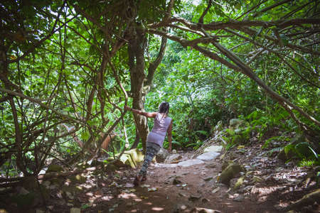 jungle moodの写真素材