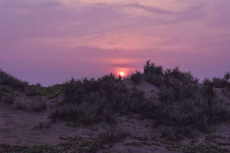 Purple sunset 5の写真素材