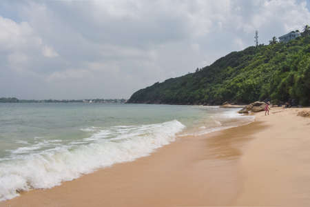 Jungle Beachの写真素材