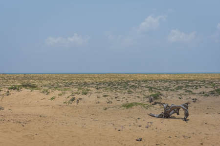 minimalist paradiseの写真素材