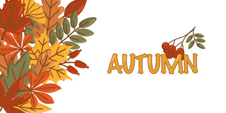 Autumn banner with colorful fall leaves in the corner and Autumn lettering on white space. Seasonal vector background for posters, invitations, web, sales or Thanksgiving design.のイラスト素材