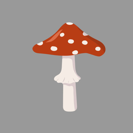 Mushroom, autumn forest plant with red cap and white dots. Iconic poisonous toadstool. Illustration of cute fly agaric.のイラスト素材