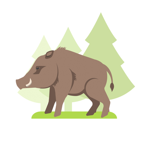 Wild boar flat vector illustrationのイラスト素材