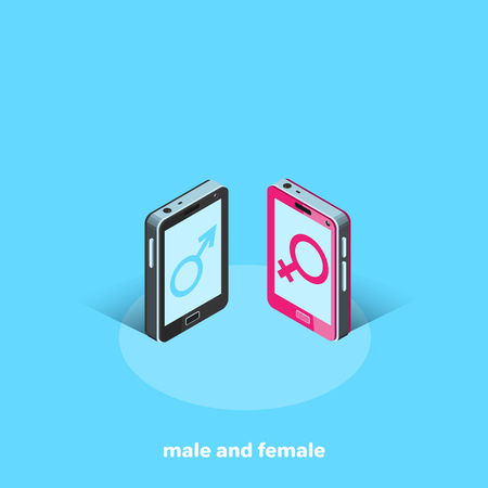mobile phones with masculine and feminine signs, isometric imageのイラスト素材