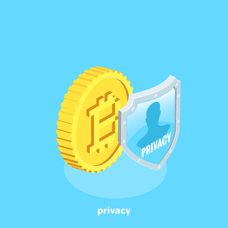 bitcoin next to the shield on which privacy is written, isometric imageのイラスト素材