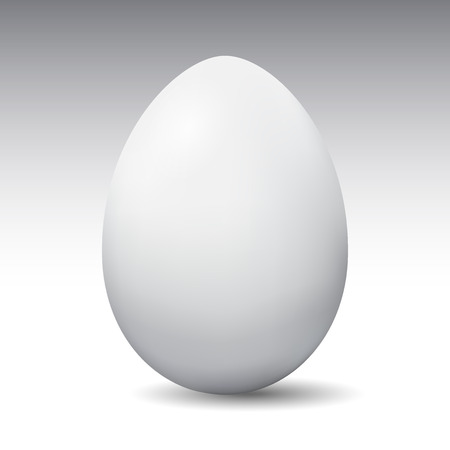 vector image of eggs on a white background, easter eggのイラスト素材