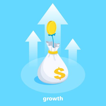 isometric vector image on a blue background, a bag of money from which the stem of a money tree grows, financial growthのイラスト素材