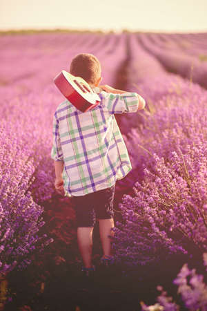 Little boy carrying a guitar on his shoulder, walking through a lavender field under the sunrise raysの写真素材