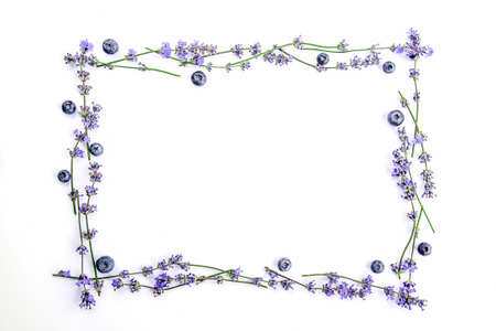 A frame of fresh lavender flowers and blueberries on a white background. Lavender flowers and blueberries mock up. Copy space.の写真素材