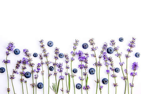 Fresh lavender flowers and blueberries on a white background. Lavender flowers and blueberries mock up. Copy space.の写真素材