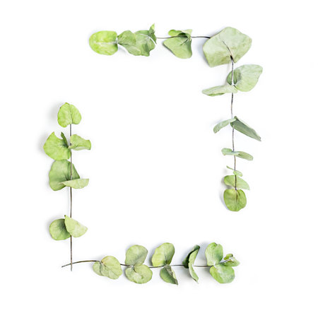 Green leaves frame on a white background. Copy space.