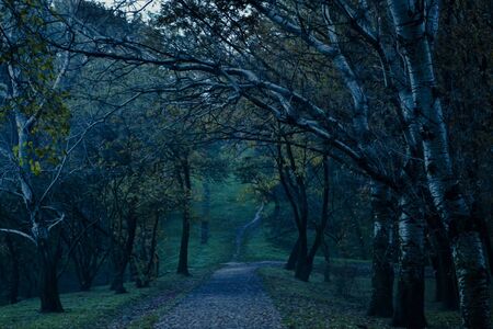 Infinityの写真素材