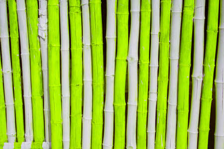 green bambooの写真素材