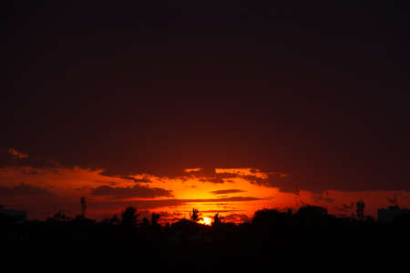 dark sky sunset light black sillhoutte trees buildings