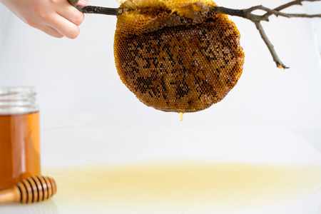 Honey and Honeycomb on white backgroundの写真素材