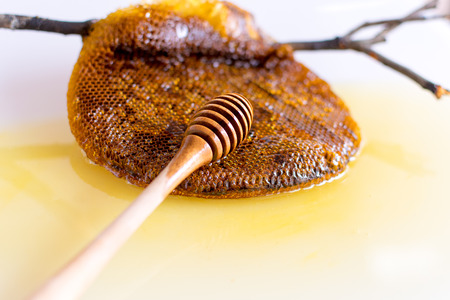 Honey and Honeycomb on white background