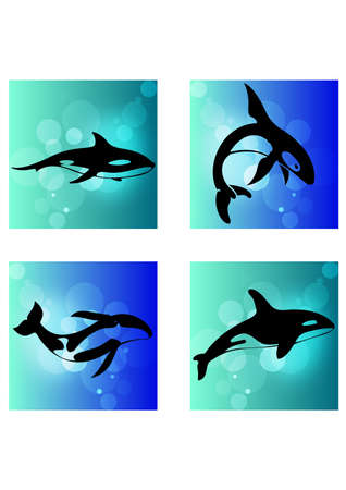 silhouette of whaleのイラスト素材