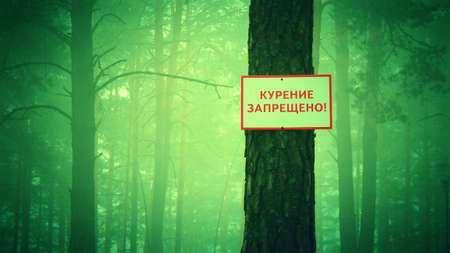 Sign - No smoking !!!の写真素材