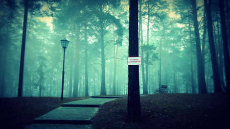 Fog in the park zoneの写真素材