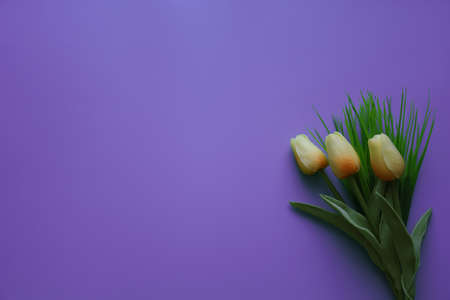 From above of small yellow fragile unopened tulips on long thin green stem with leaves on vivid blue backgroundの写真素材