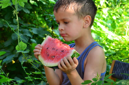happy cute child eating watermelon in the gardenの写真素材