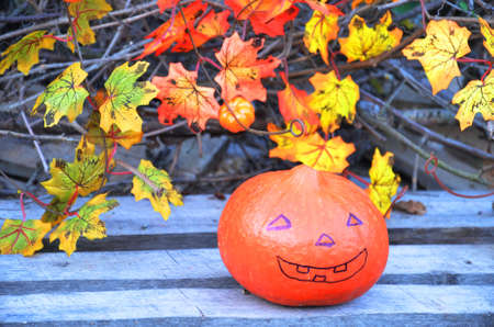Halloween pumpkin head jack lantern on wooden backgroundの写真素材