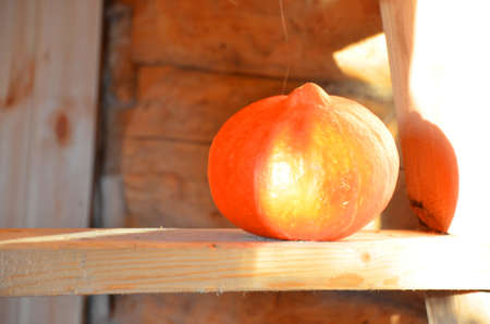 Halloween holiday concept. Pumpkins, witch hat, on wooden old tableの写真素材