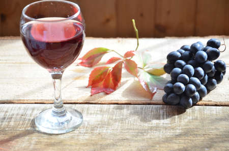 Brush black grapes on the wooden surface, copy space. red wine and grapes. Wine and grapes in vintage setting with corks on wooden table. with red leaves. autumn conceptの写真素材