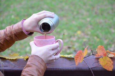 Autumn. A park. A young woman pours a hot tea drink from a thermos into a cupの写真素材