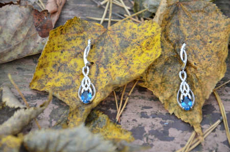 earrings. jewelry. with topaz or sapphire. large blue stone. on a vintage background. autumn. leavesの写真素材