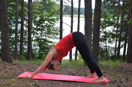 the girl goes in for sports on the nature. yoga. stretching.fitness. aerobics. healthy lifestyle. Fresh air. forest. glade. lake.の写真素材