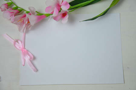 Spring flowers. Pink flowers on white wooden background. Flat lay, top view. Blank white greeting card paper, empty sheet of paper and pink ribbonの写真素材