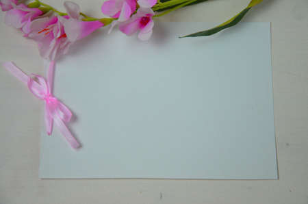 Spring flowers. Pink flowers on white wooden background. Flat lay, top view. Blank white greeting card paper, empty sheet of paper and pink ribbonの写真素材